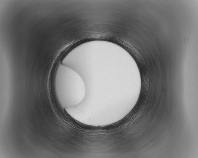 X0000115110587200911241329