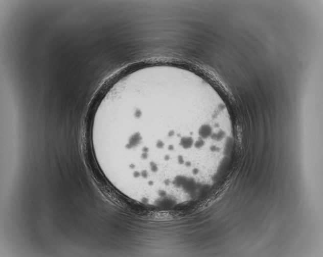 X0000115110588200911241329