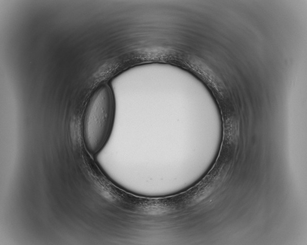 X0000115110589200911241329