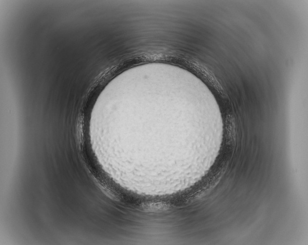 X0000115110590200911241329