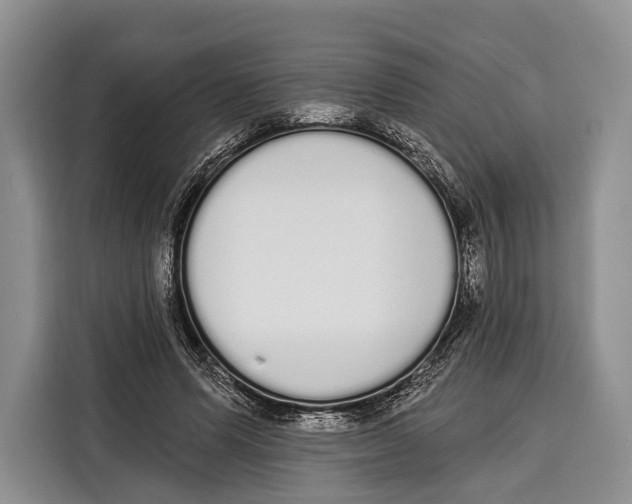 X0000115110591200911241329