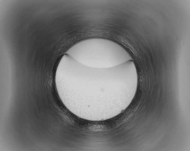 X0000115110593200911241329