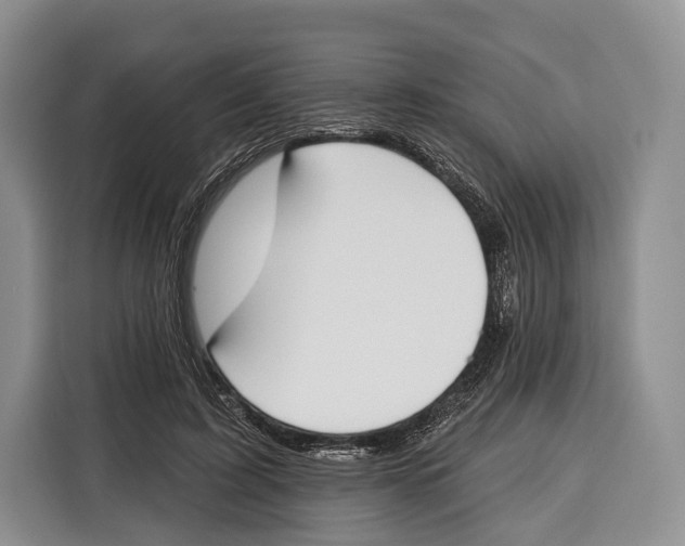 X0000115110595200911241329