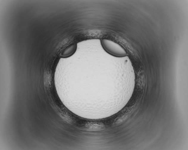 X0000115110597200911241329