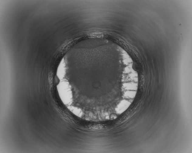 X0000115110600200911241329