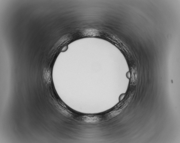 X0000115110601200911241329