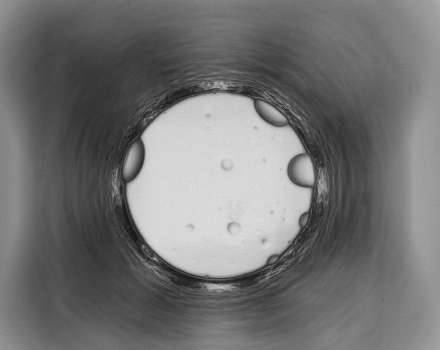 X0000115110605200911241329