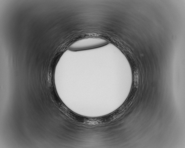 X0000115110608200911241328