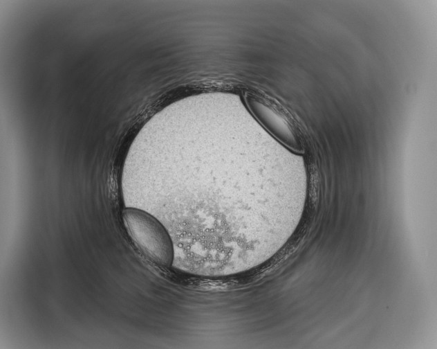 X0000115110613200911241328