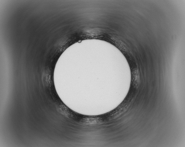 X0000115110615200911241328