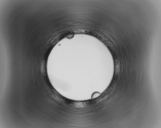 X0000115110616200911241328