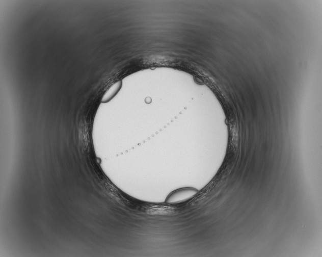 X0000115110617200911241328