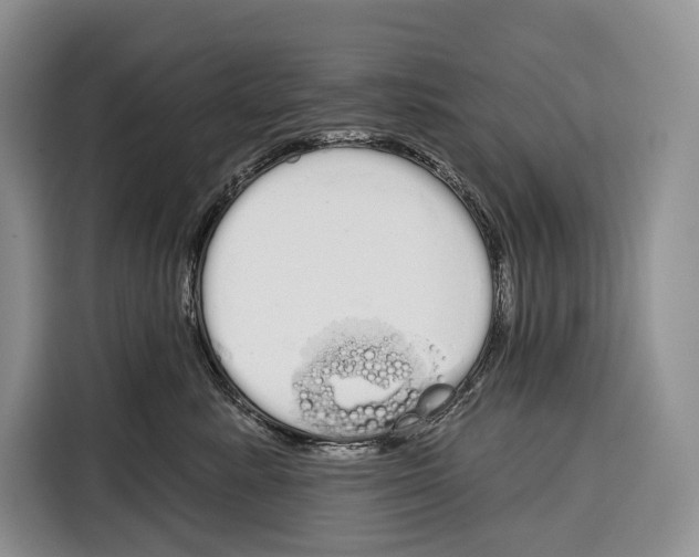 X0000115110619200911241328