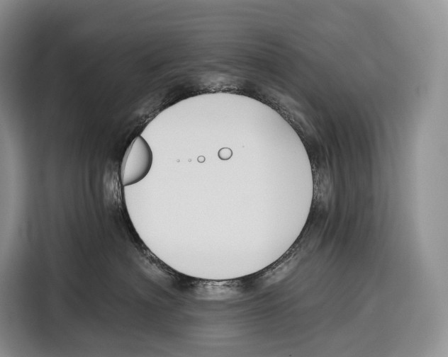 X0000115110622200911241328