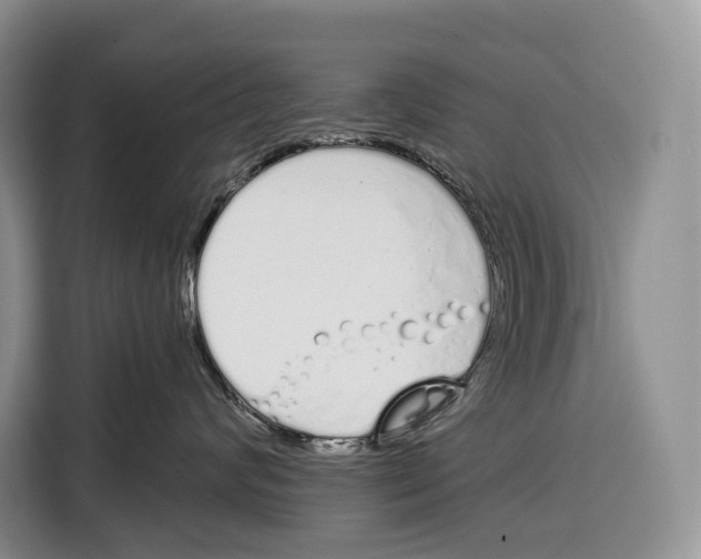 X0000115110624200911241328