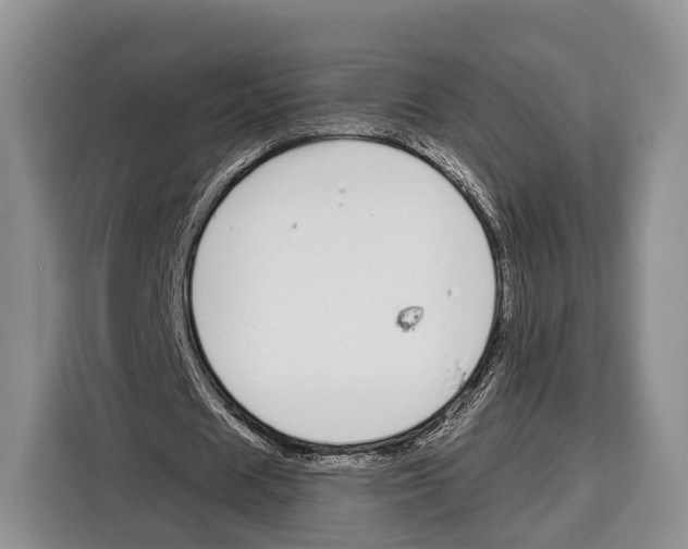 X0000115110625200911241328