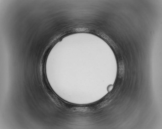 X0000115110626200911241328