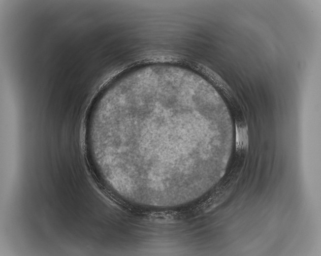 X0000115110627200911241328