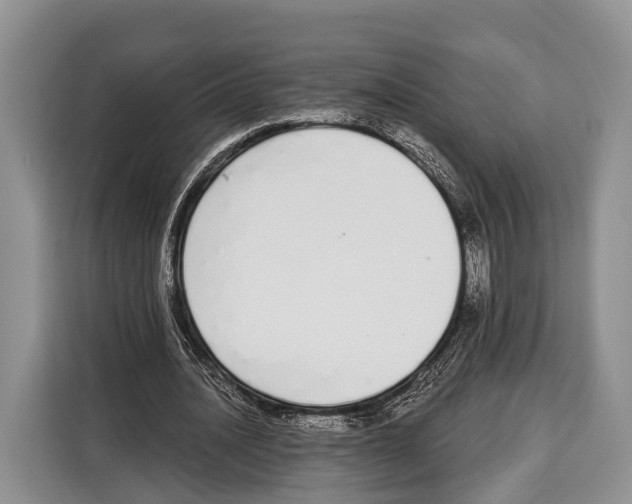 X0000115110628200911241328