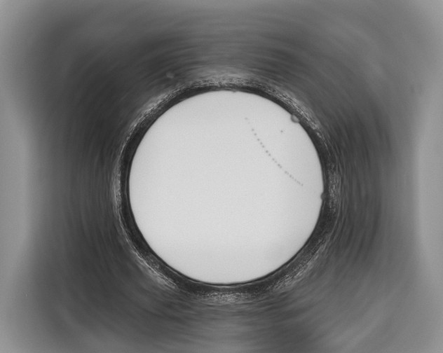 X0000115110629200911241328