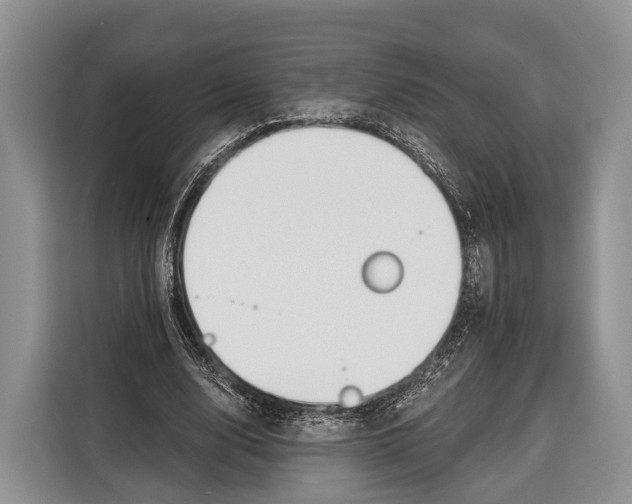 X0000115110632200911241328