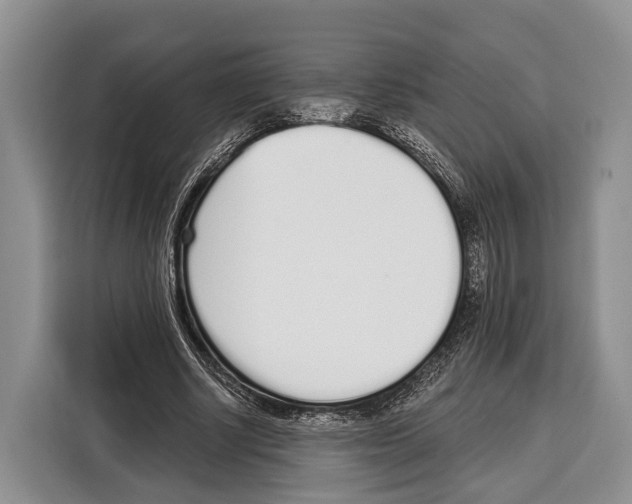 X0000115110634200911241328