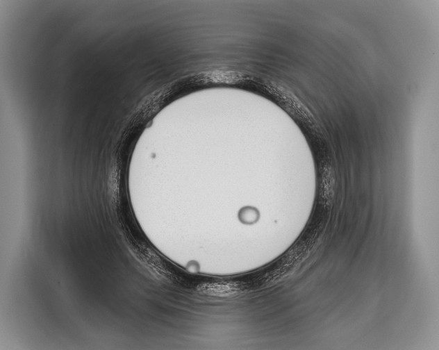 X0000115110639200911241328