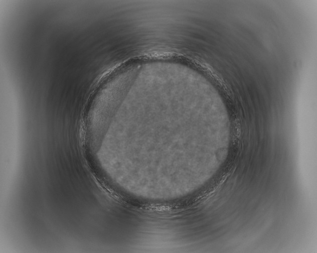 X0000115110640200911241328