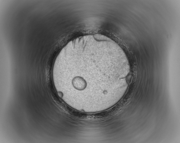 X0000115110641200911241328