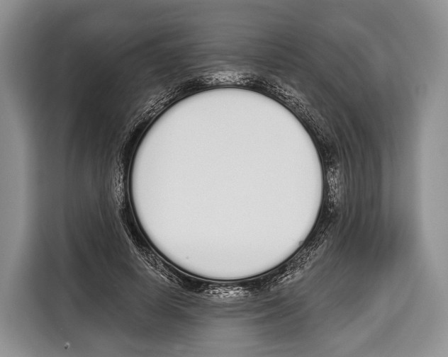 X0000115110642200911241328