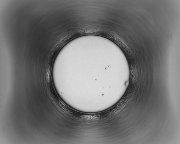 X0000115110644200911241328