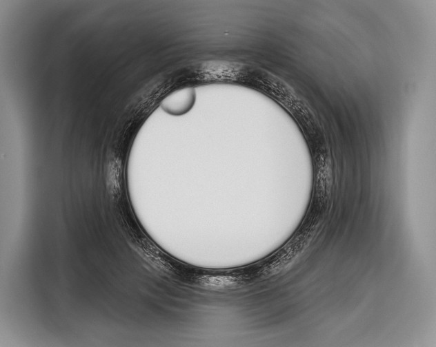 X0000115110649200911241328