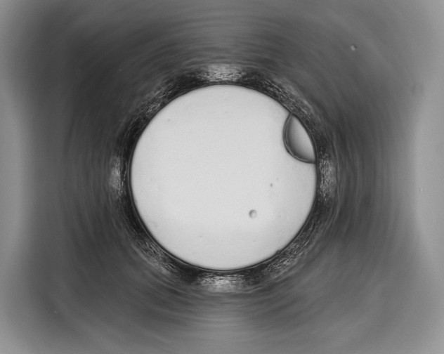 X0000115110655200911241328