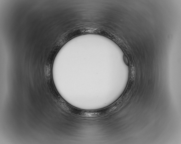 X0000115110657200911241328