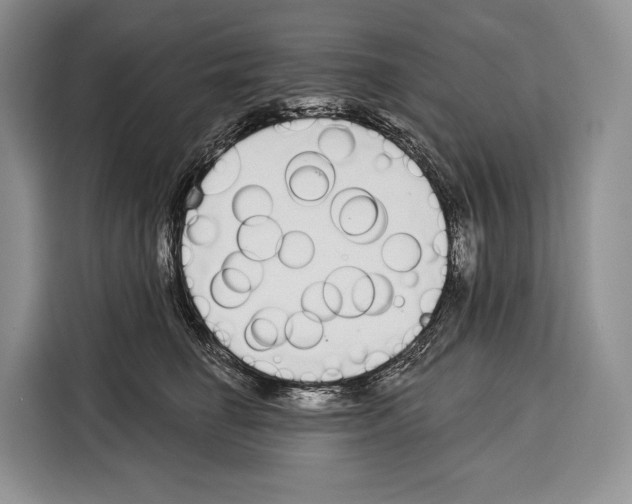 X0000115110662200911241328