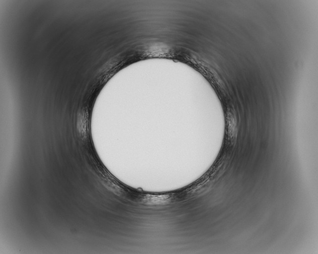 X0000115110665200911241328