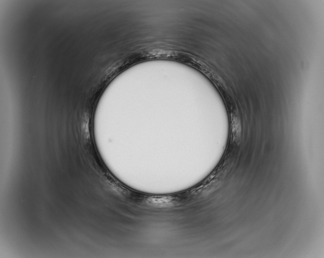 X0000115110668200911241328