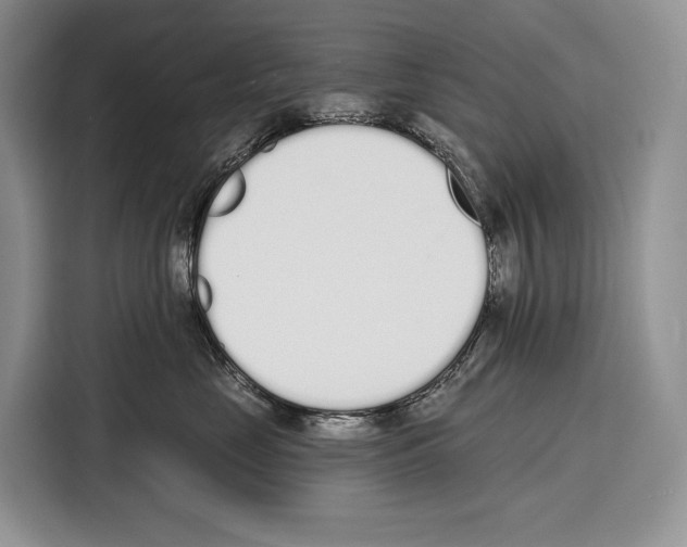 X0000115110669200911241328