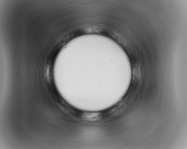 X0000115110671200911241328