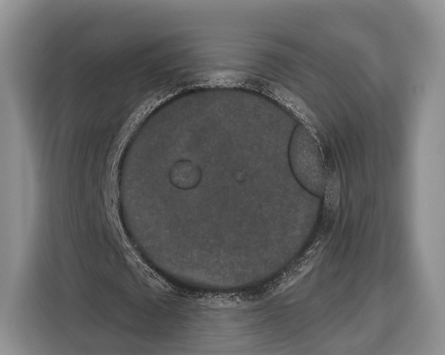 X0000115110673200911241328