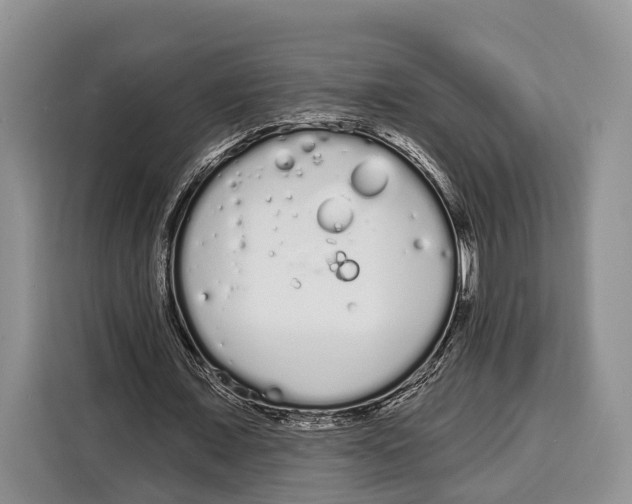 X0000115110675200911241328