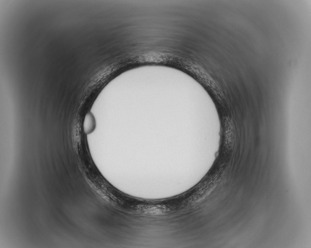 X0000115110683200911241327