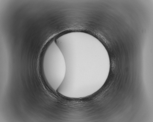 X0000115110684200911241327