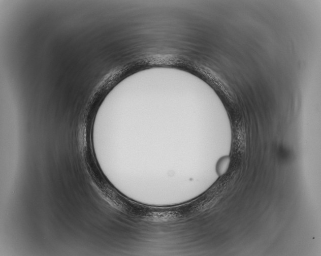 X0000115110686200911241327