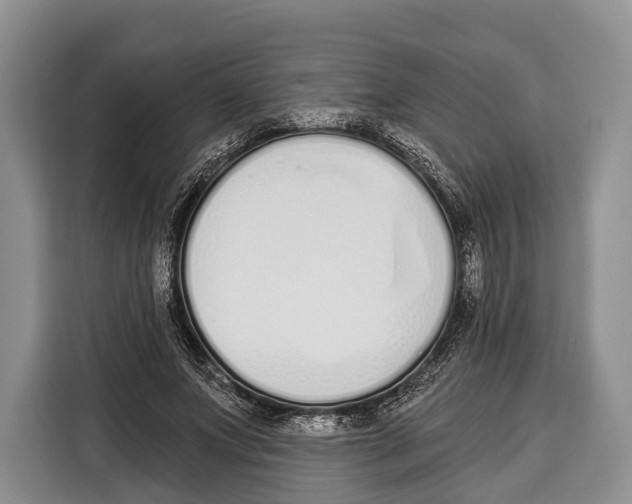 X0000115110687200911241327