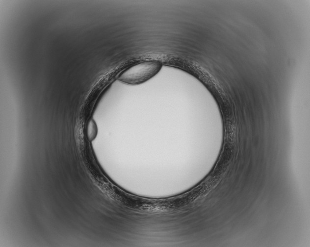 X0000115110688200911241327