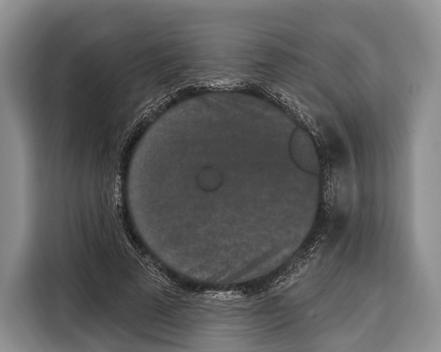 X0000115110689200911241327