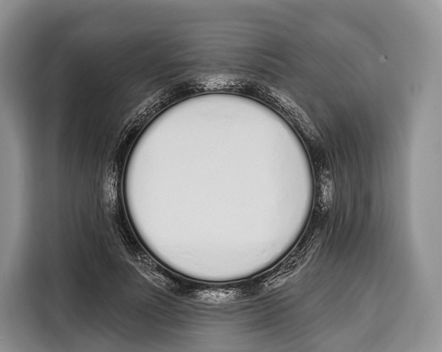 X0000115110691200911241327