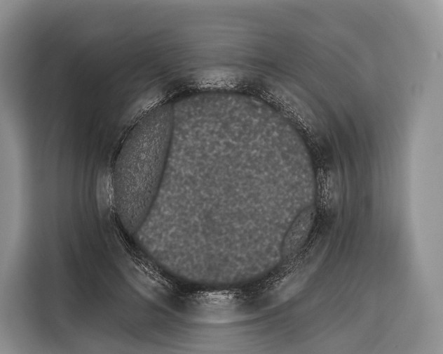 X0000115110692200911241327