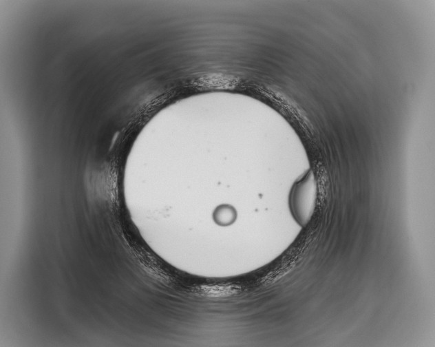 X0000115110693200911241327